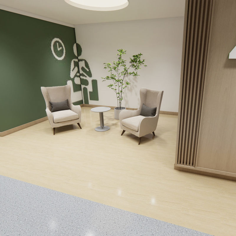 নার্সিংহোমের জন্য ব্যাপক বয়স্ক-যত্ন ফ্লোরিং – চিকিৎসা-গ্রেড হোমোজেনিয়াস স্বাস্থ্যকর শৈলী