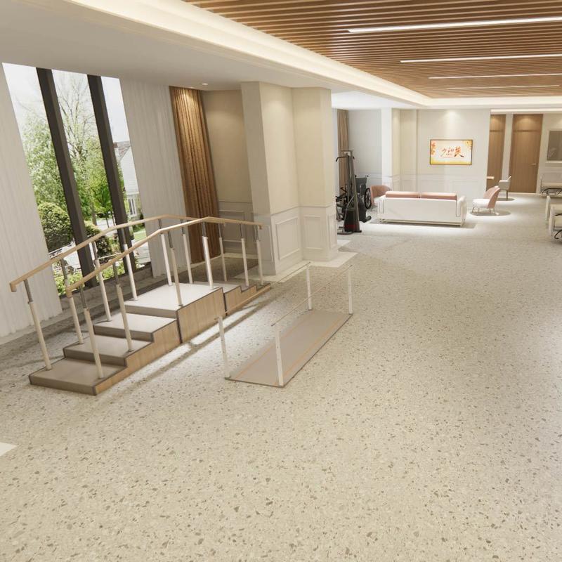 নার্সিংহোমের জন্য ব্যাপক বয়স্ক-যত্ন ফ্লোরিং – চিকিৎসা-গ্রেড হোমোজেনিয়াস স্বাস্থ্যকর শৈলী