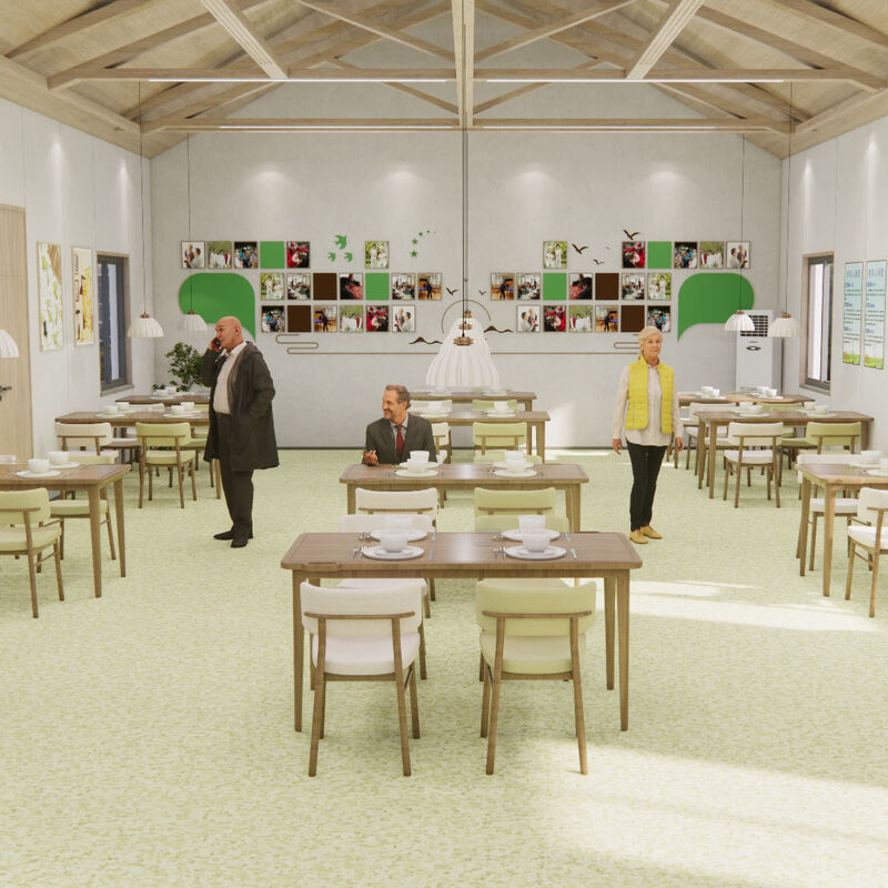 নার্সিংহোমের রোগীদের কক্ষের জন্য অ্যান্টি-স্ক্র্যাচ সারফেস সহ প্রভাব-প্রতিরোধী হোমোজেনিয়াস ফ্লোরিং