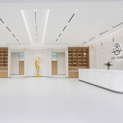 3.0 মিমি বেধ সমজাতীয় মেঝে টেকসই উচ্চ দাগ প্রতিরোধের